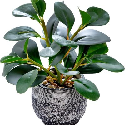 AlphaAcc Artificial Plants Potted Real Looking Small Faux Plant with Rustic Black Cement Planter for Kitchen Office