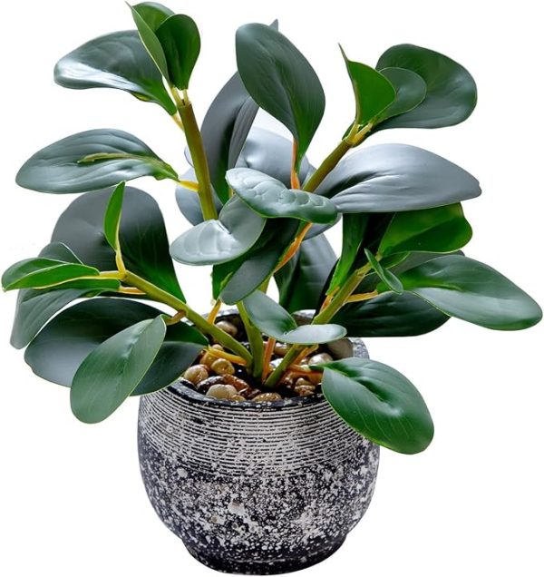 AlphaAcc Artificial Plants Potted Real Looking Small Faux Plant with Rustic Black Cement Planter for Kitchen Office