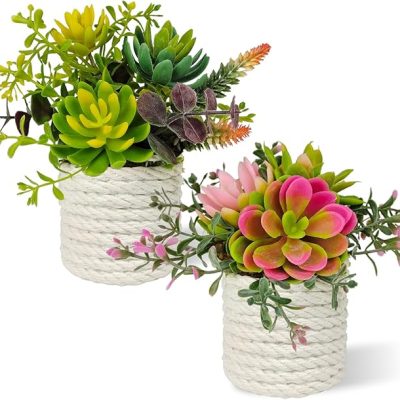Set of 2 Fake Succulents Plants Artificial Small Succulent Plants Potted for Home Decor