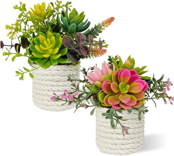 Set of 2 Fake Succulents Plants Artificial Small Succulent Plants Potted for Home Decor