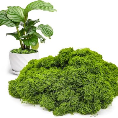 Fake Green Moss for Potted Plants Indoor, 5.3oz Artificial Moss for Crafts