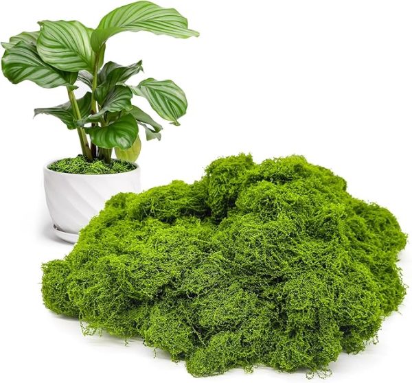 Fake Green Moss for Potted Plants Indoor, 5.3oz Artificial Moss for Crafts